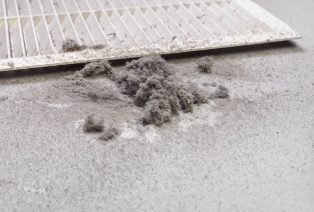 Best Ventilation Cleaning Services  in Kodi, AK