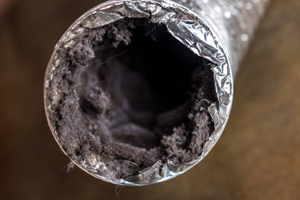 Best Air Duct Cleaning Company Near Me  in Kodi, AK