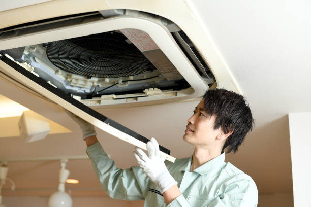 Best Air Vent Cleaning Services  in Kodi, AK