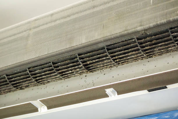 Best Air Duct Cleaning Company Near Me  in Kodi, AK