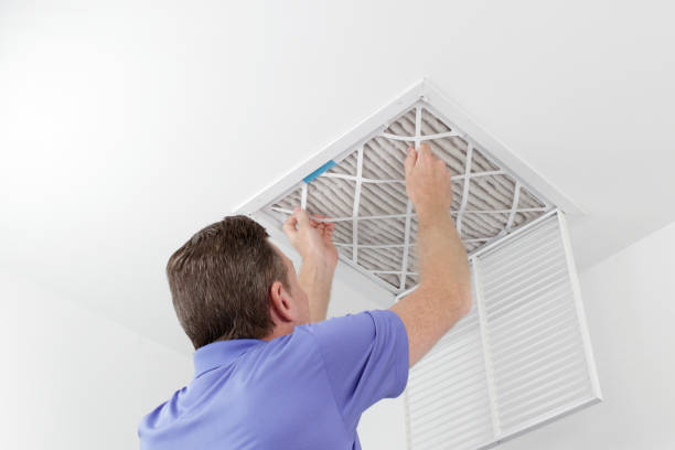 Best HVAC Air Duct Cleaning  in Kodi, AK